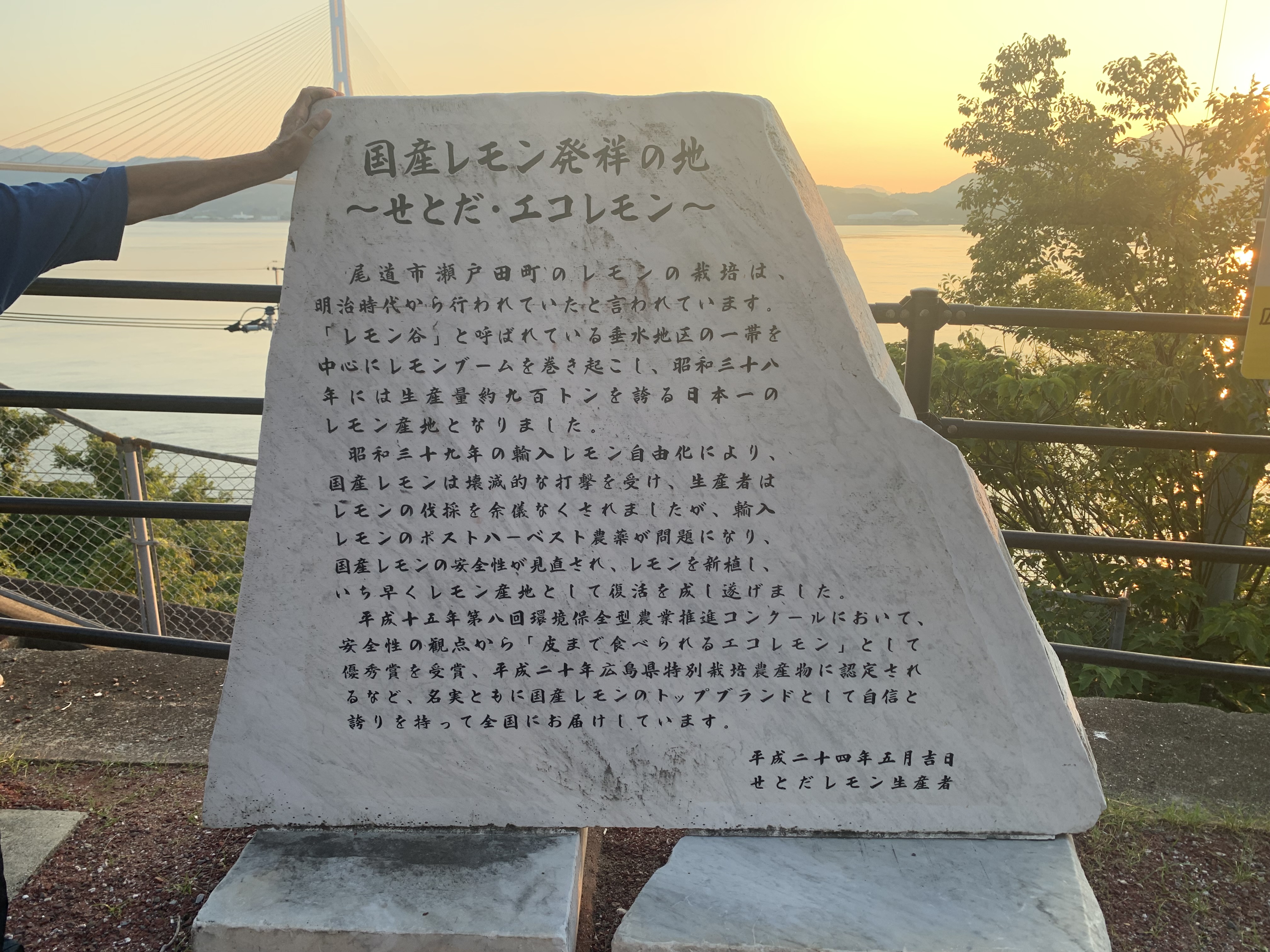レモン谷全景