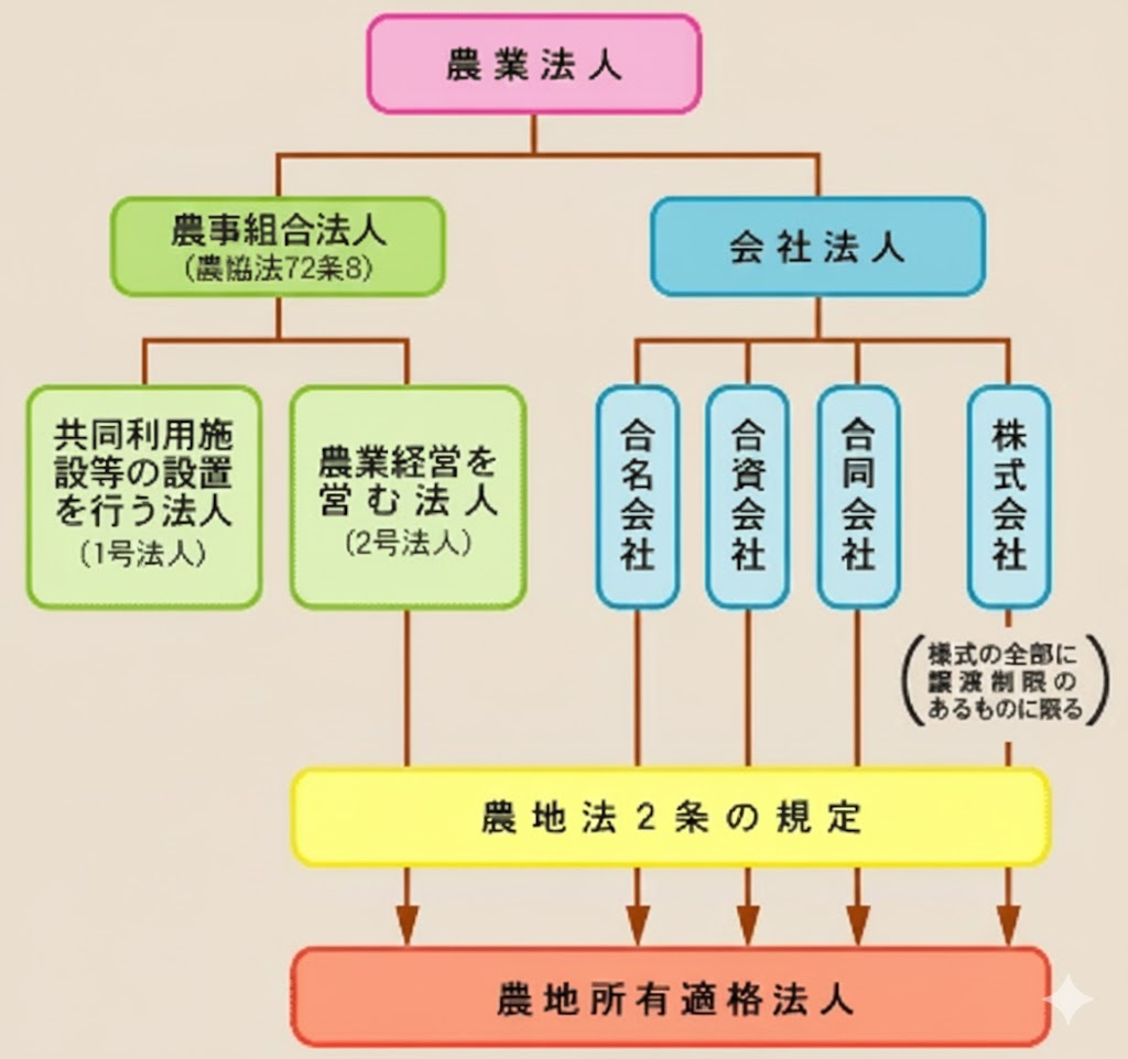 農業法人の組織形態図