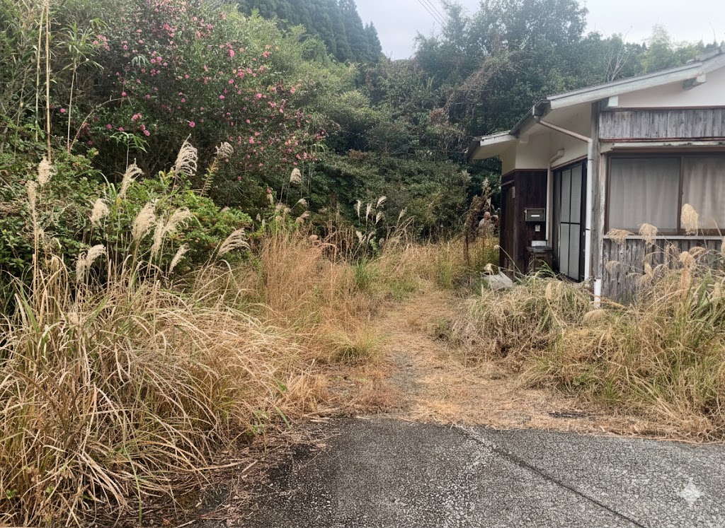 作業前の荒廃した状態1