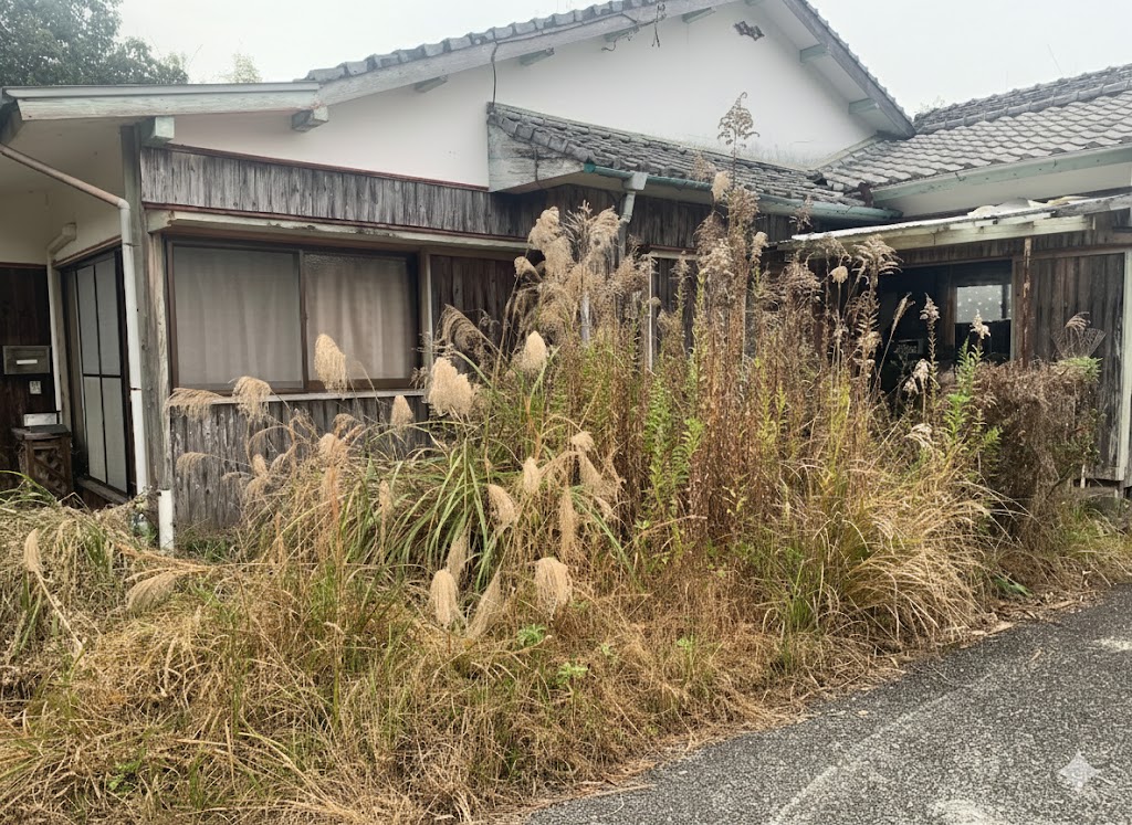 作業前の荒廃した状態2