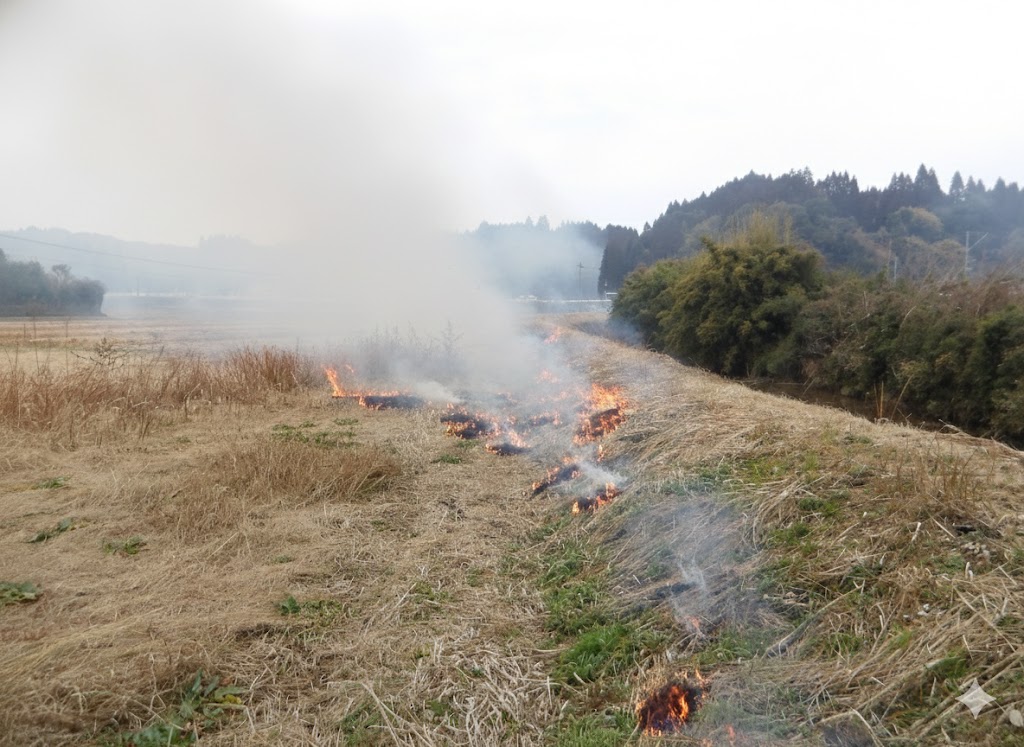 髙田圃場（コミュニティーバス停下）