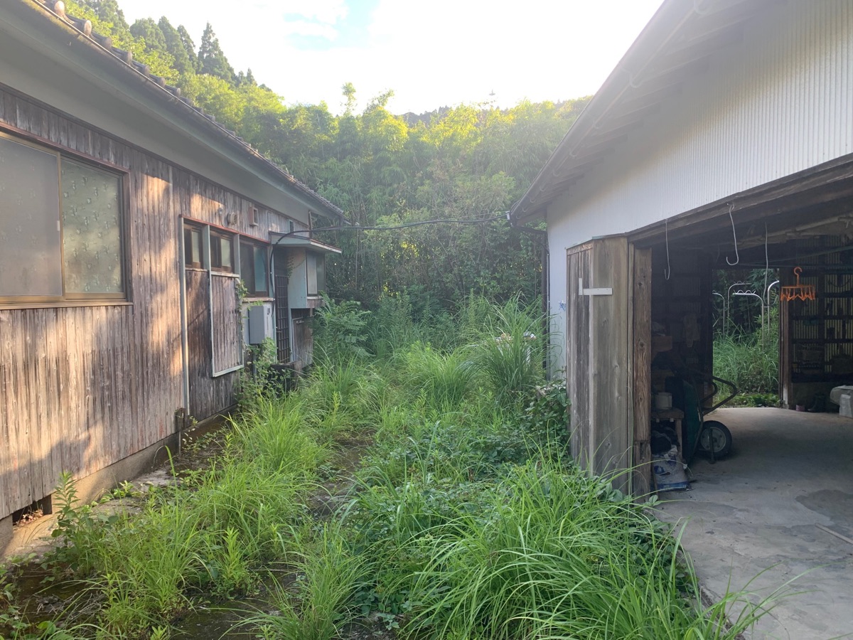 着工前の様子。住居周りが草木で覆われている