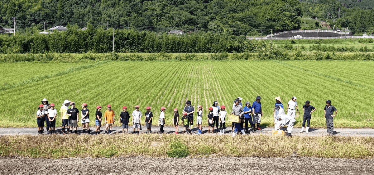 田んぼと子どもたちの集合写真