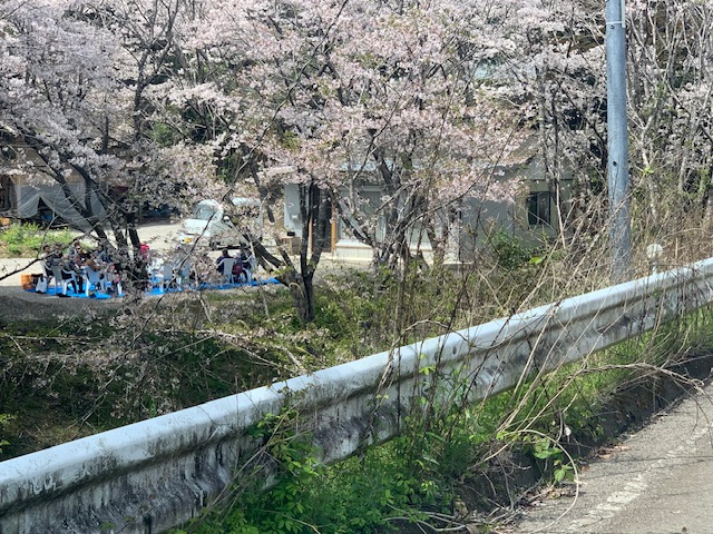 桜越しに望むひむか亭の会場