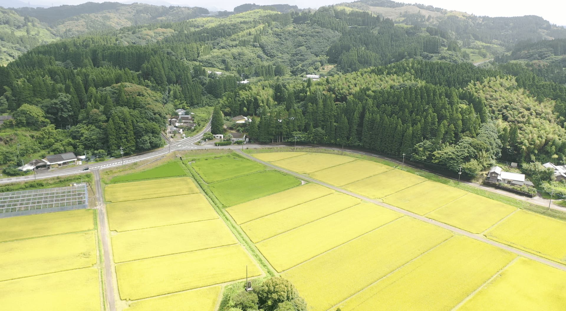 下塚田 田んぼあぜ道の空撮写真