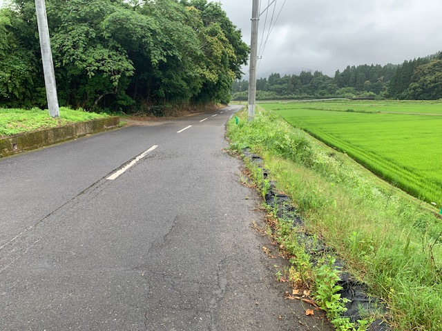 市道萩之嶺下塚田線 西側法面 ④