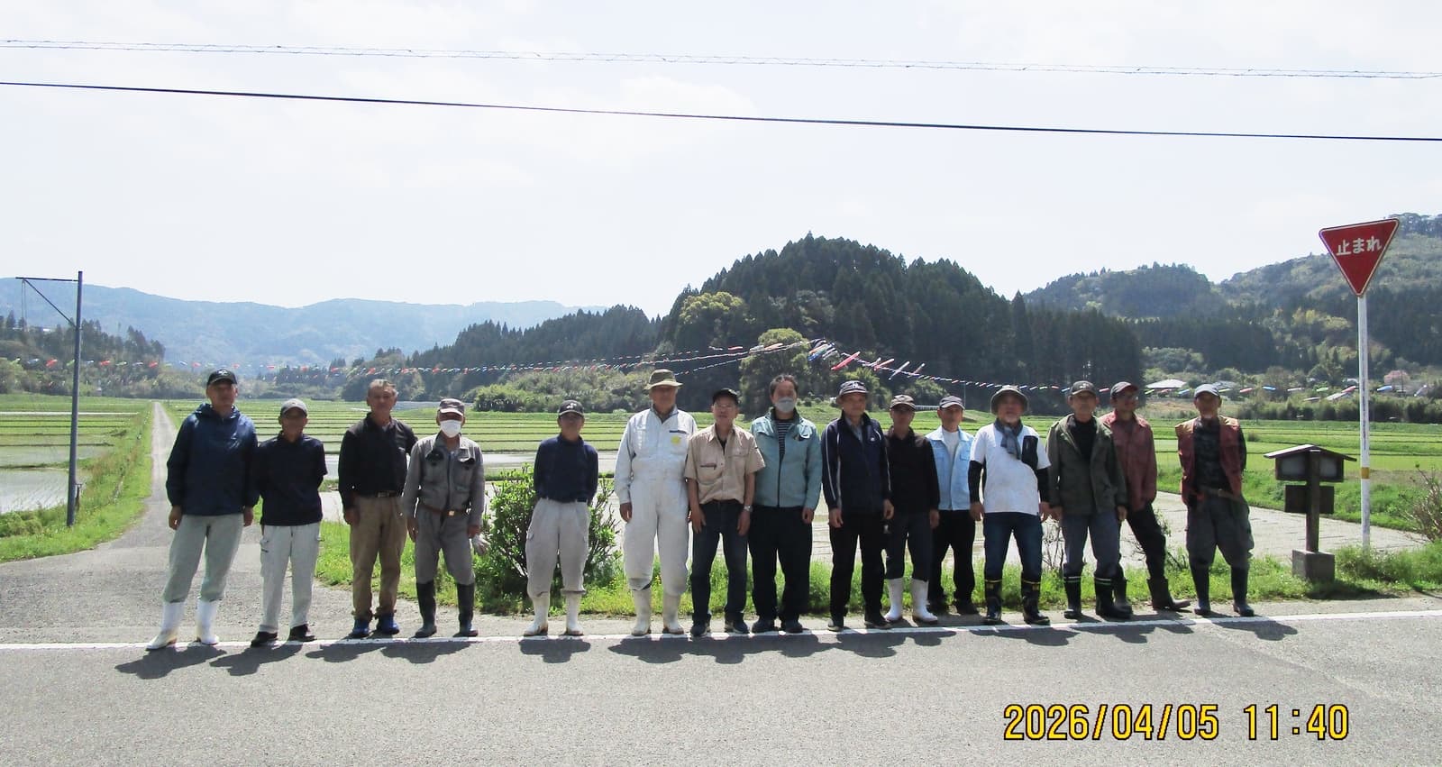 2026年4月5日 こいのぼり掲揚完了の様子