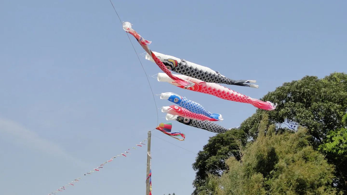 第1回目掲揚 2008/04/15