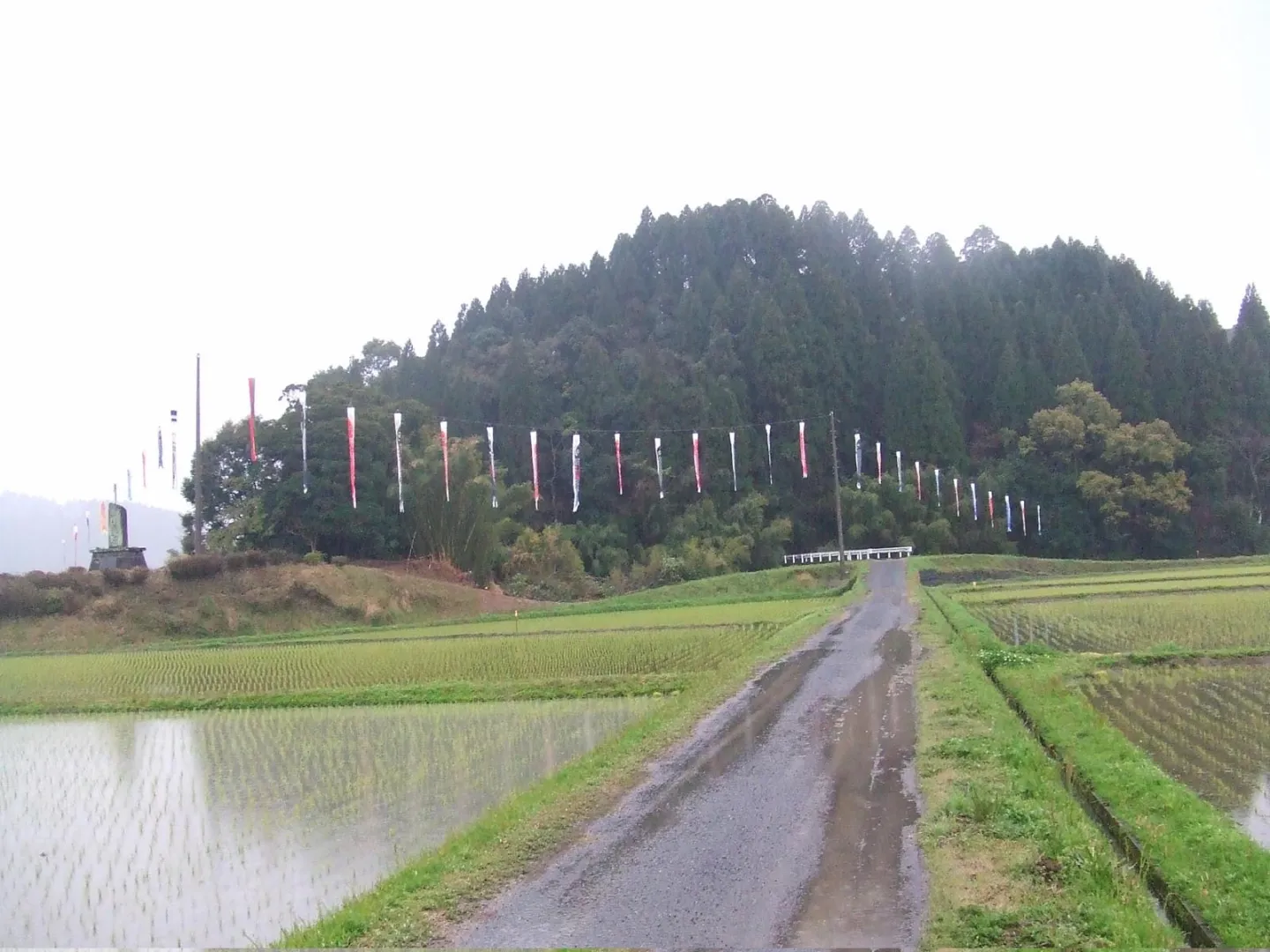 第1回目掲揚 2008/04/15