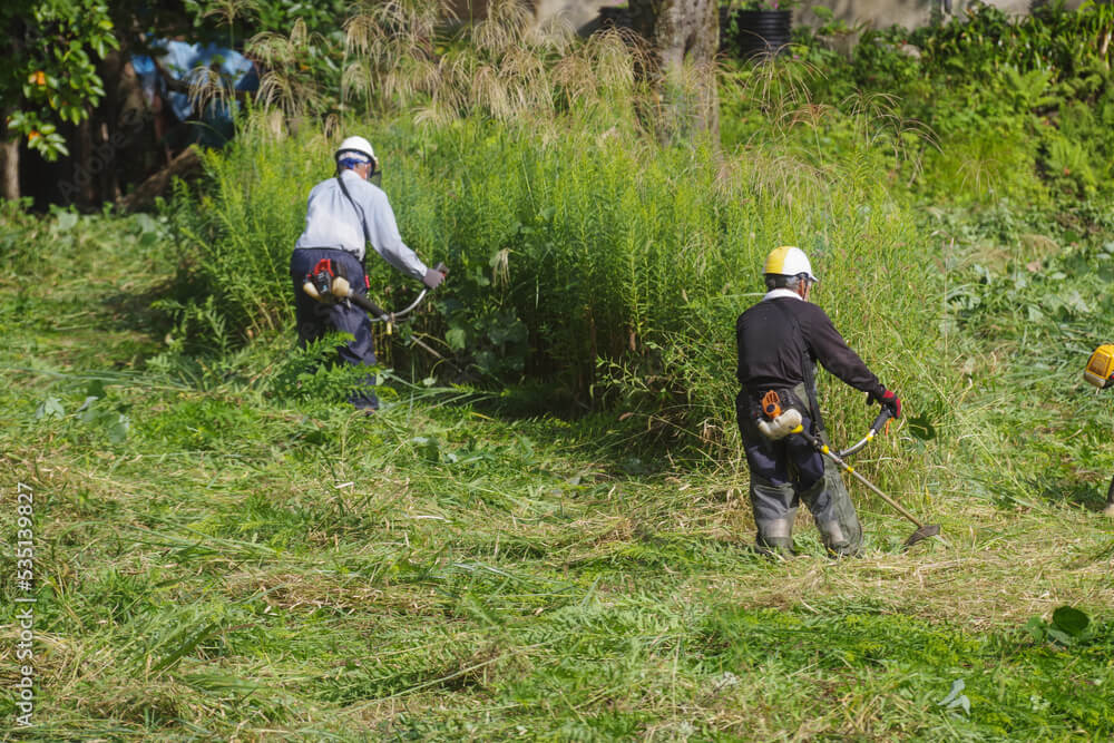 河川堤防での草刈り作業の様子
