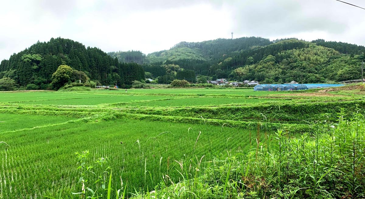 農村RMOモデル形成支援事業