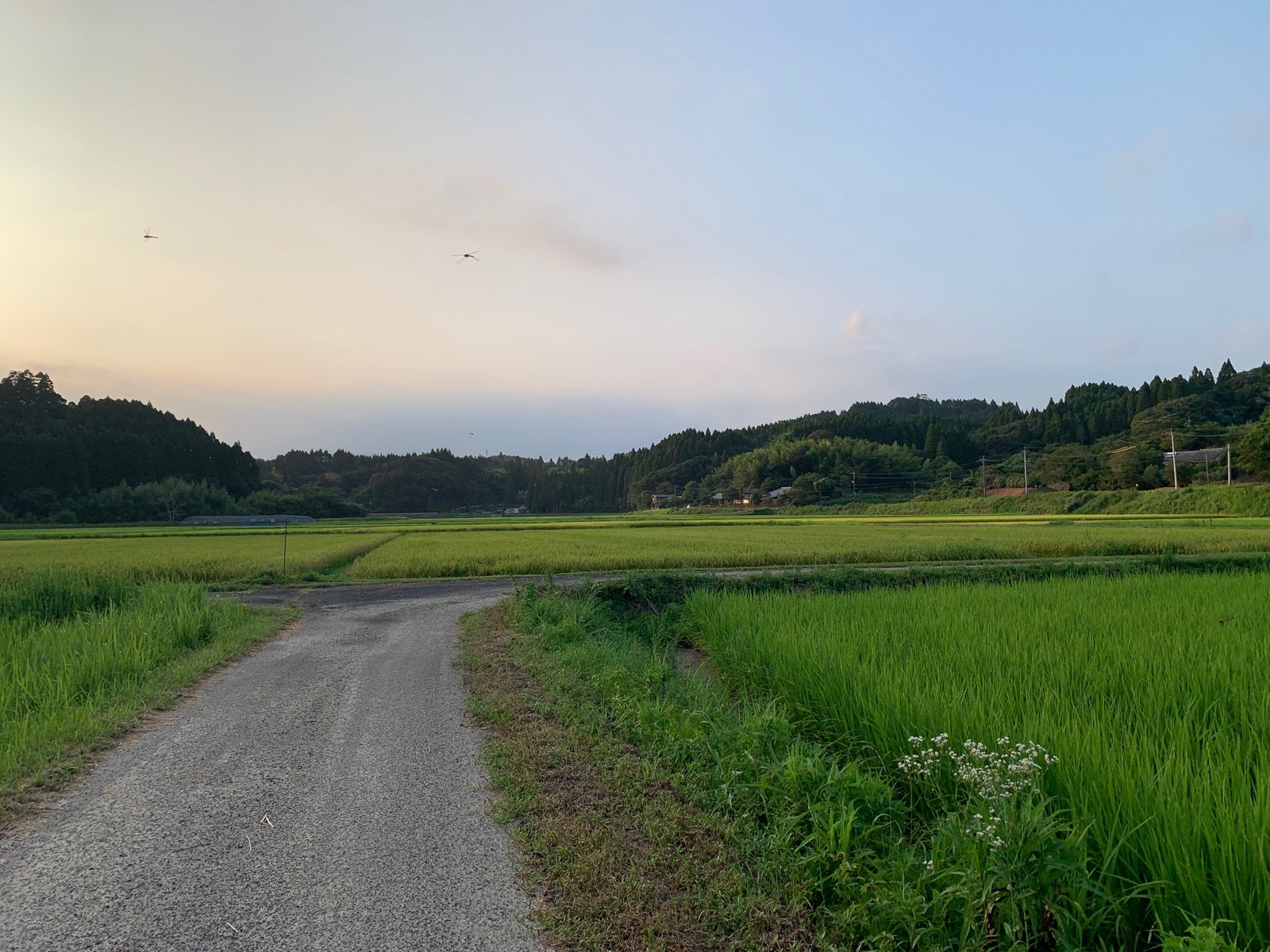 第3回 週末焚き火のこころみ 当日の様子