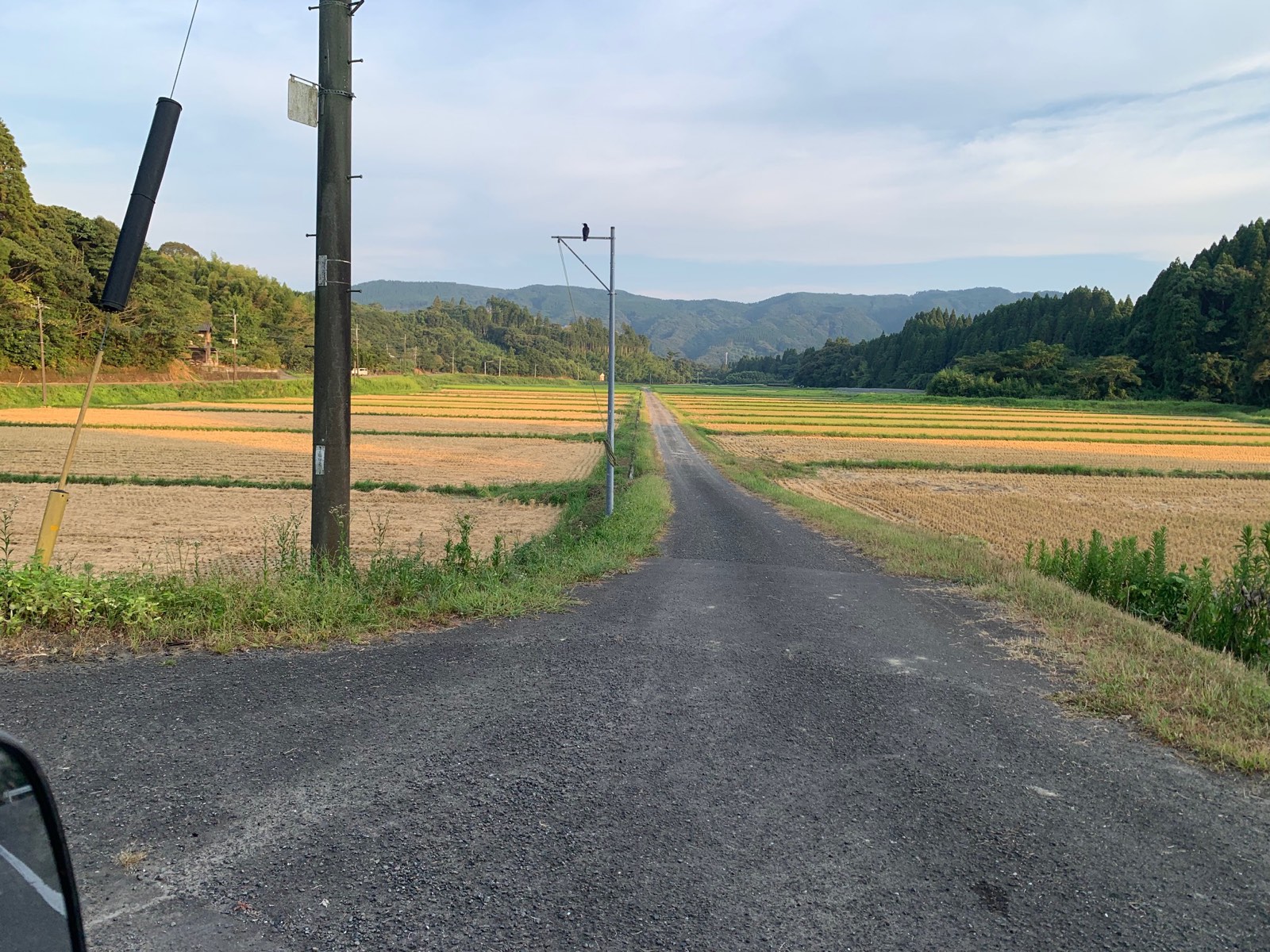 電柱越しに広がる収穫後の水田と夕暮れ前の空