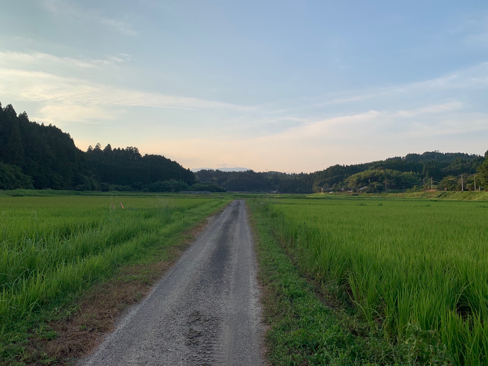 会場へと続く農道と、緑濃い山を背にした常磐の全景（南側のWCS区画）