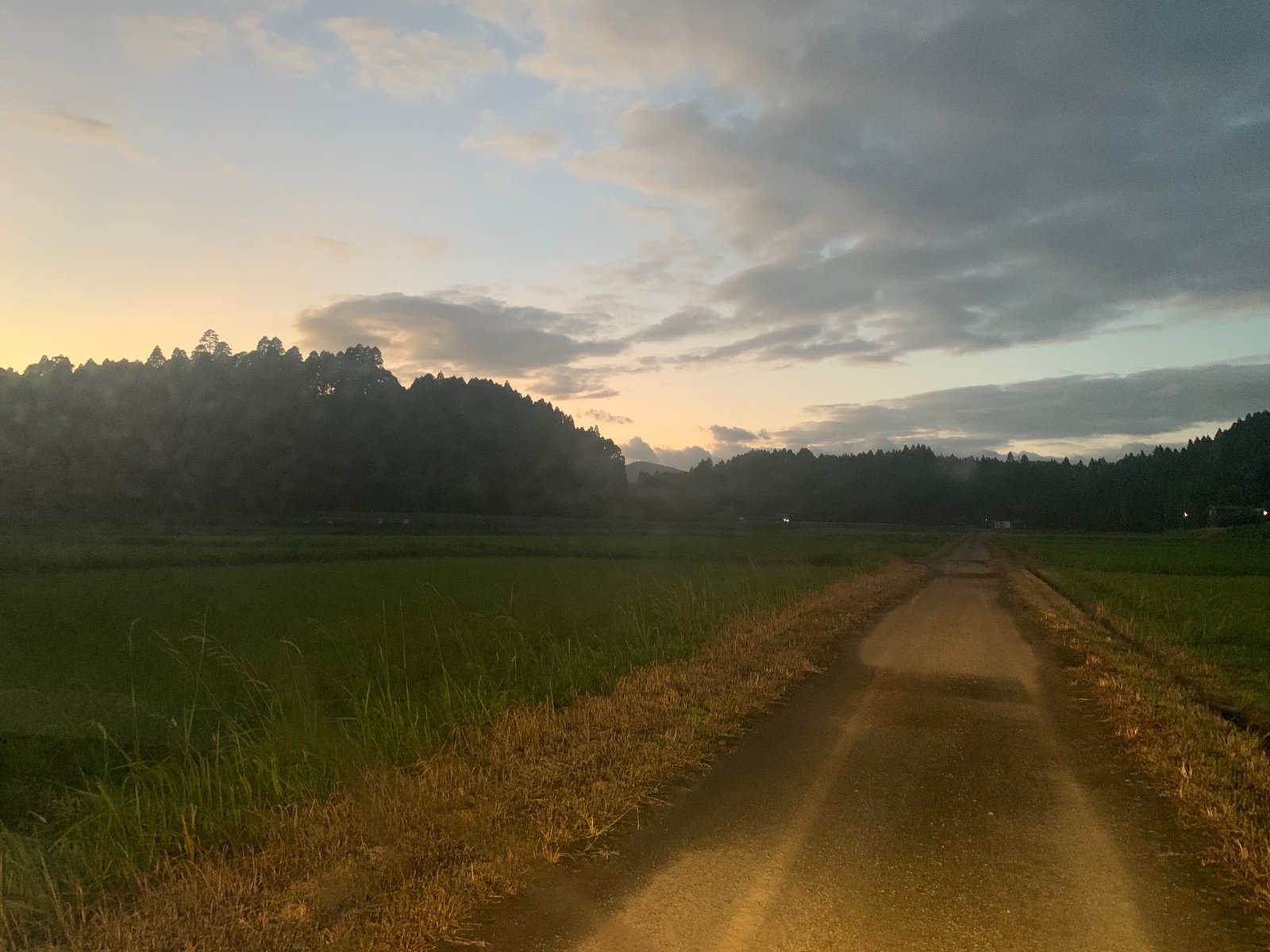 夕暮れの田んぼあぜ道。稲穂と山並みのシルエットに残照が滲む会場周辺の風景