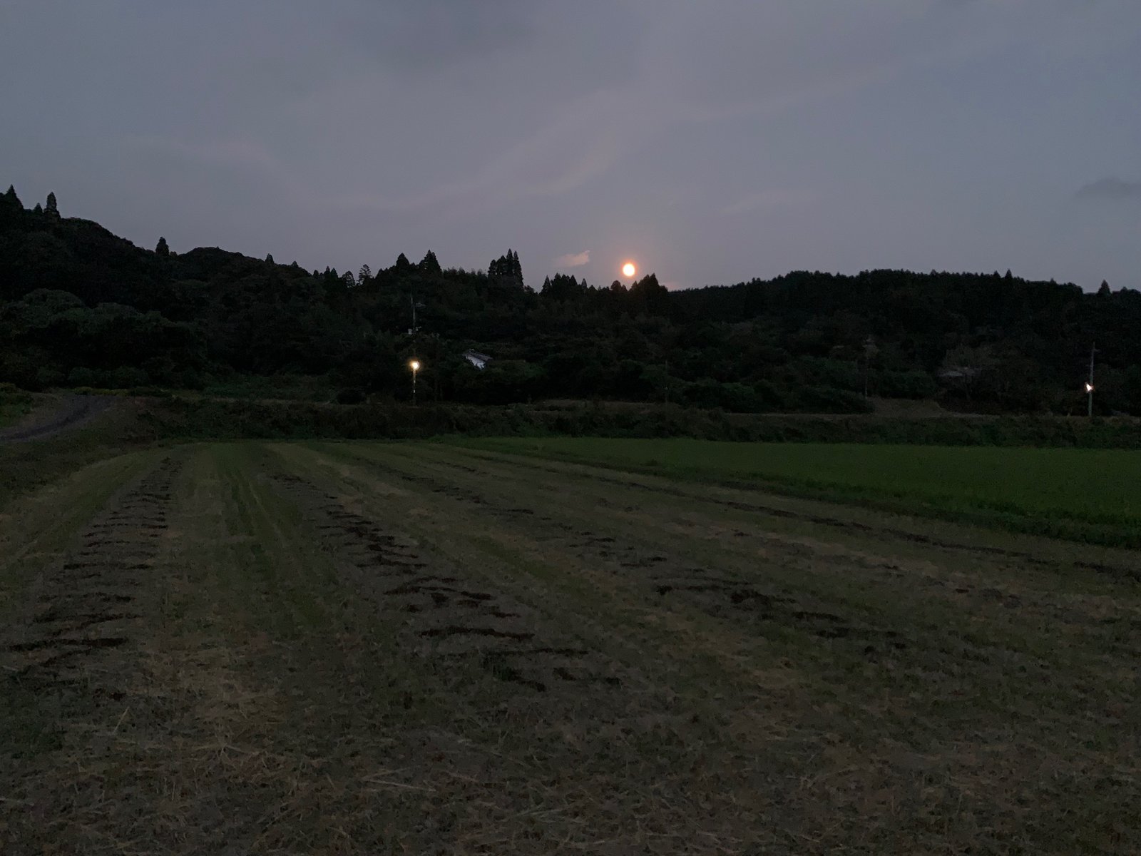 夕暮れの棚田と昇り始めの月