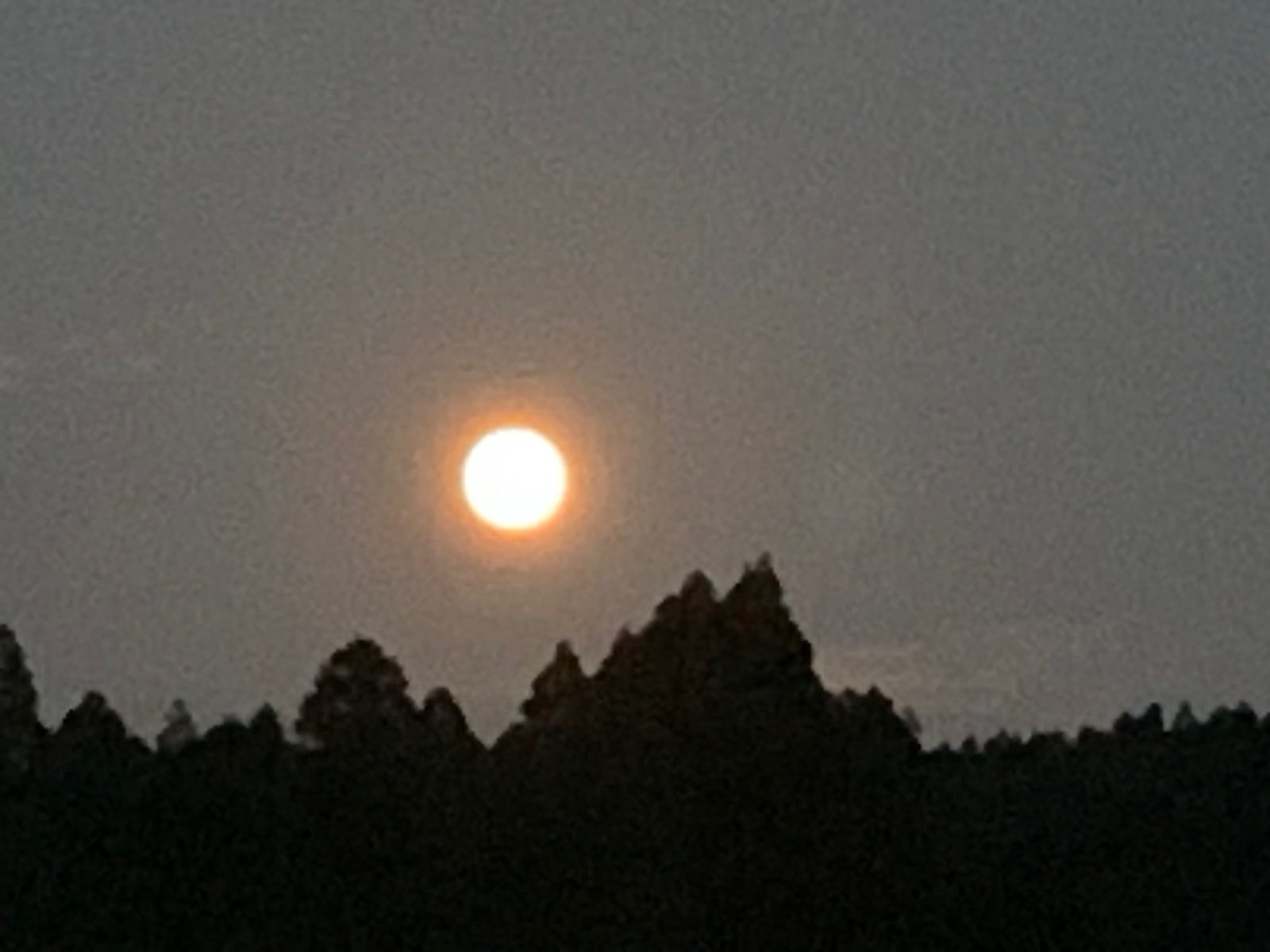 丘の上に昇った満月