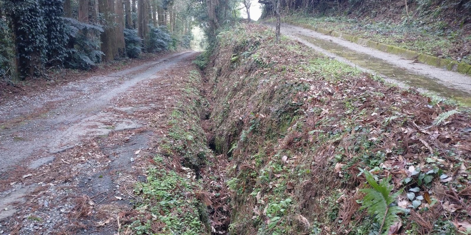 施工前の素掘りの側溝。落ち葉が積もり、法面が崩れかけている