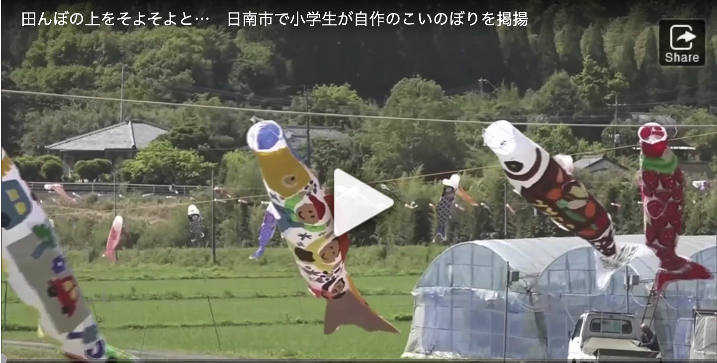 UMKテレビ宮崎 田んぼの上をそよそよと 日南市で小学生が自作のこいのぼりを掲揚