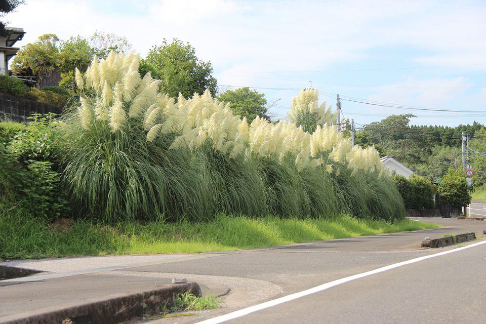 串間市大塚地区 揚原交差点南西側1