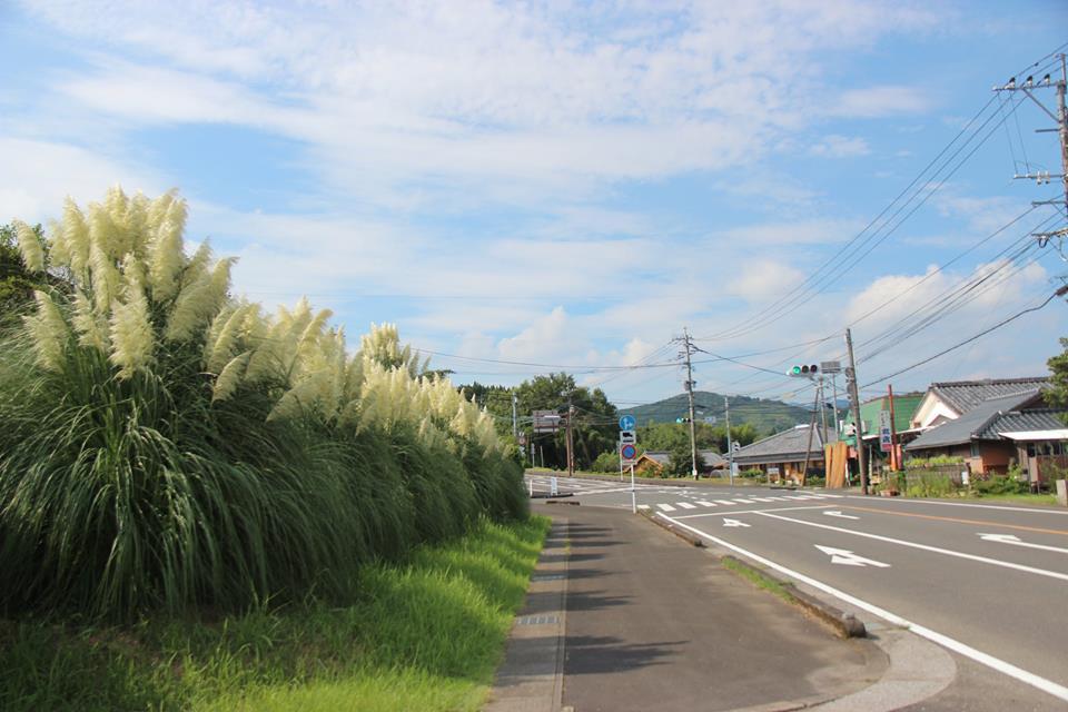 串間市大塚地区 揚原交差点南西側2