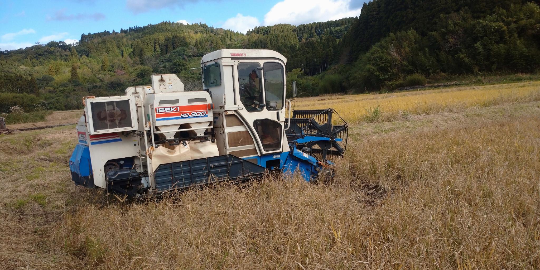 コンバインによる稲刈り開始