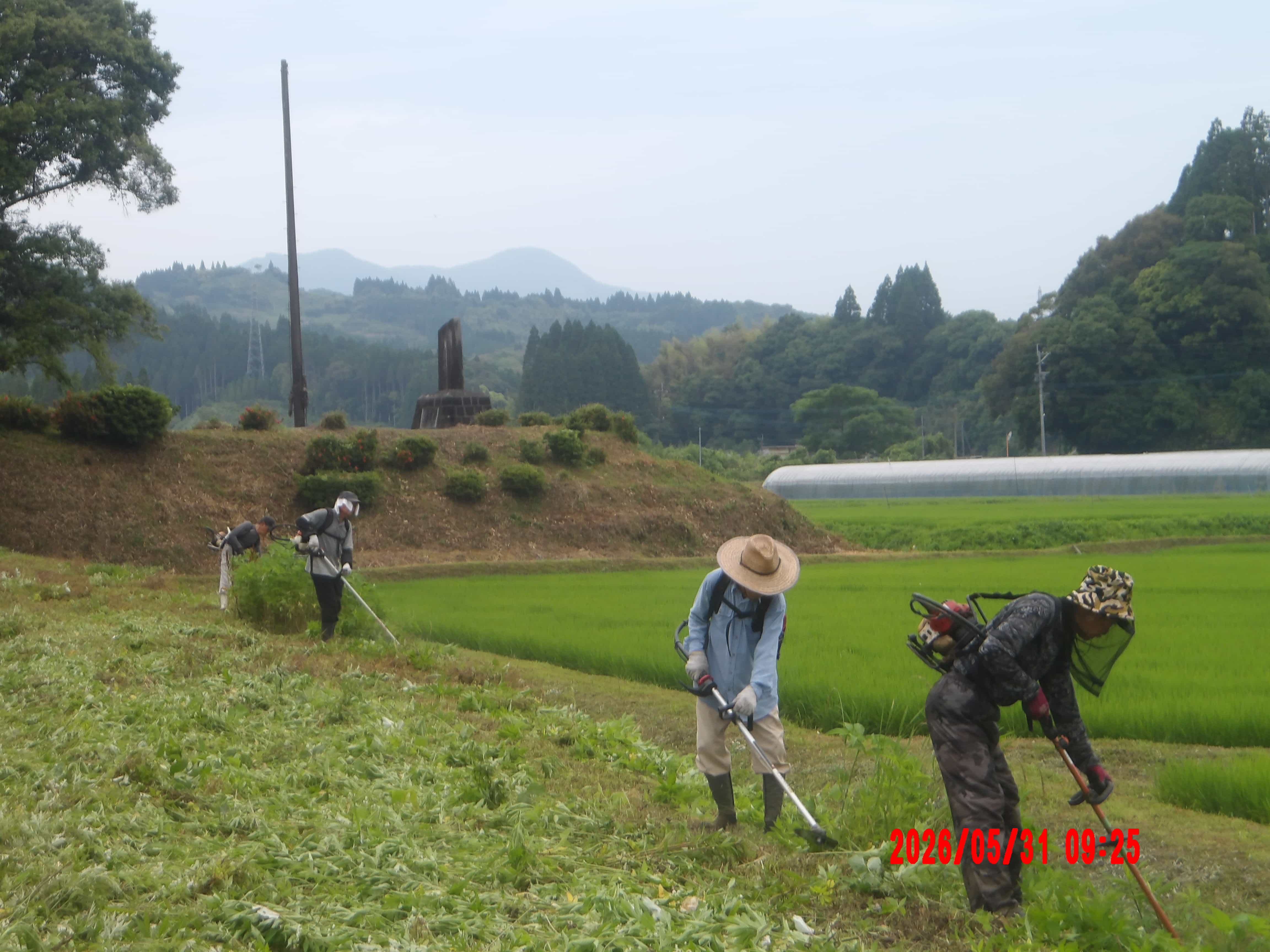 農地法面の草刈り作業の様子