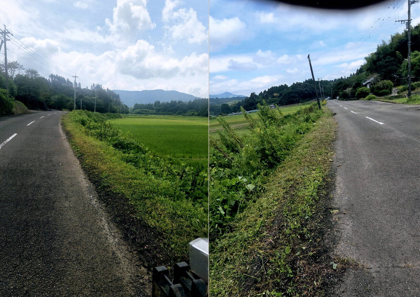 スライドモアで刈り取られた路側帯（作業前）