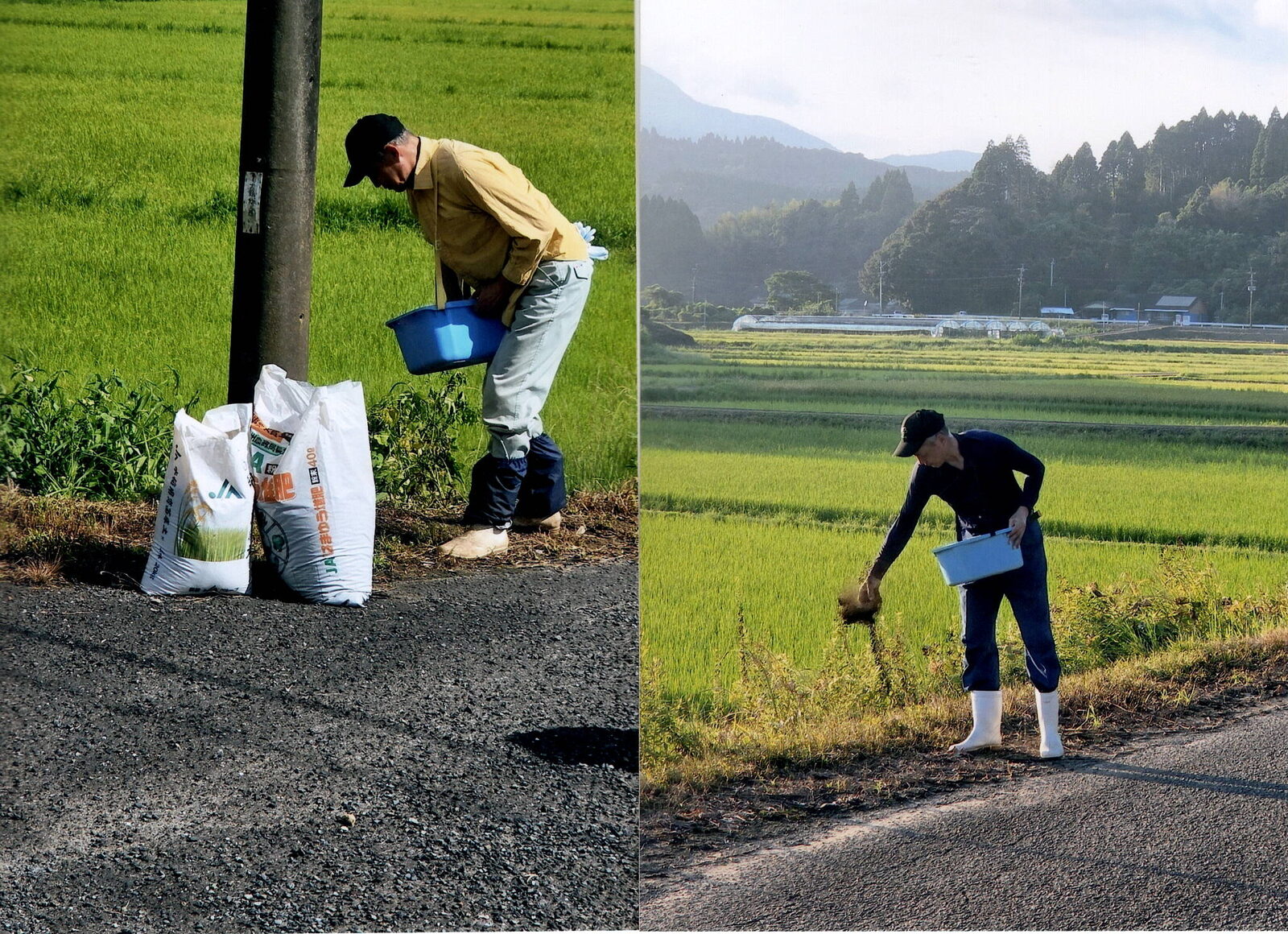 畜産農家の堆肥を種子の上から覆土する参加者
