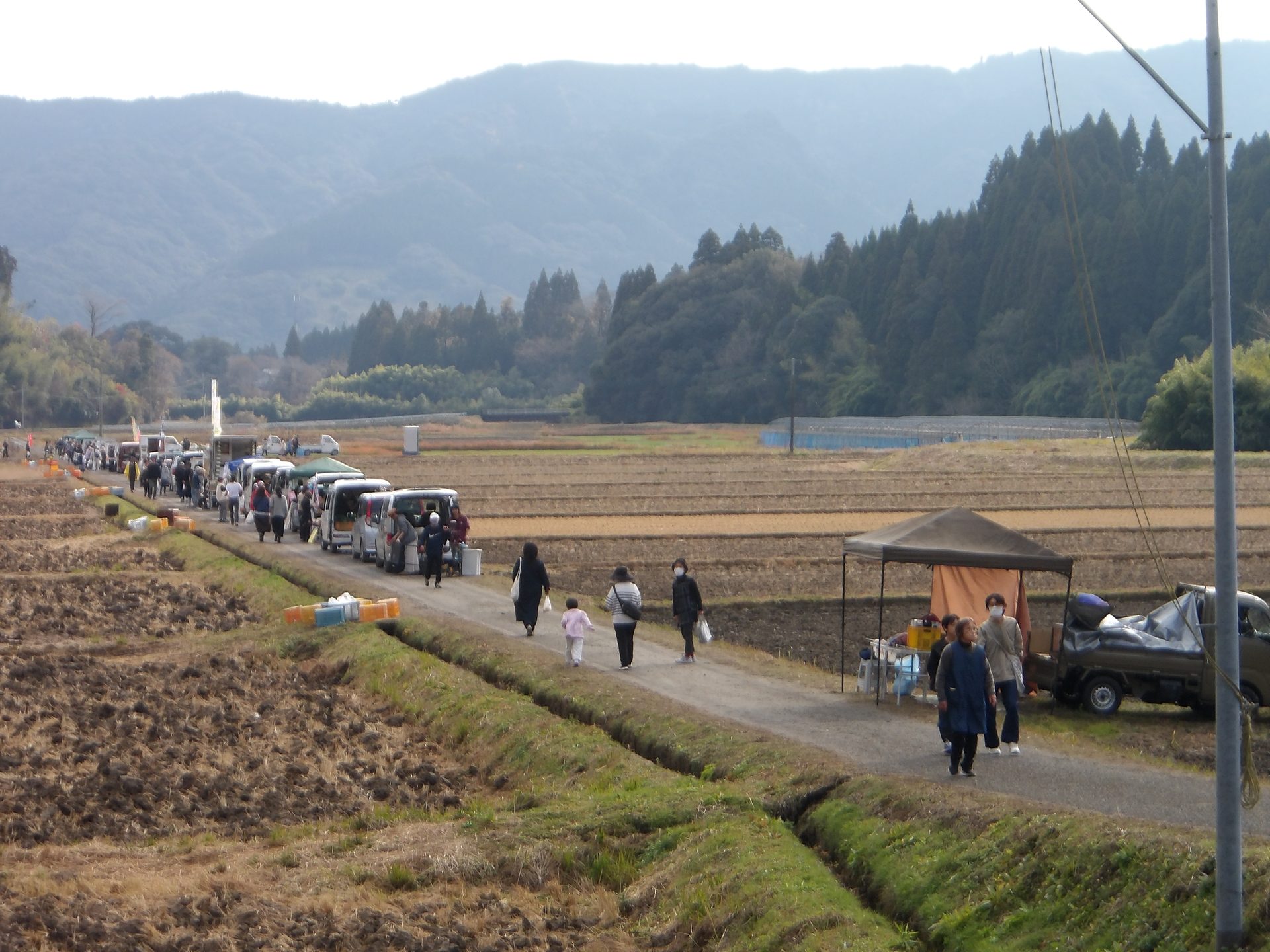 Kei-trucks lined along a rice-field path, people walking and shopping with mountains behind
