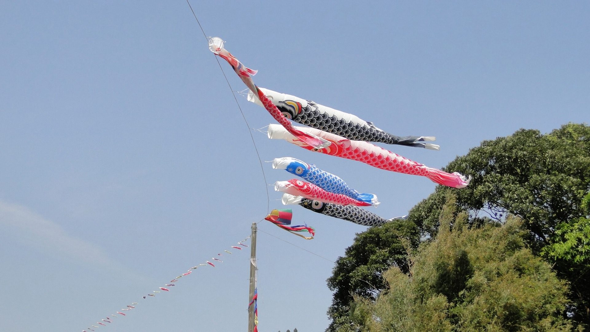 Carp streamers flying against a blue sky over the village hilltop
